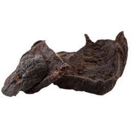 Polygonum Multiflorum Extract