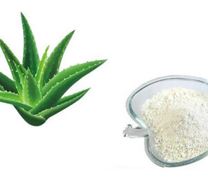 Aloe Vera Extract