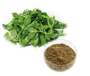 Andrographis Extract