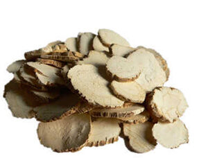 Angelica Dahurica Extract