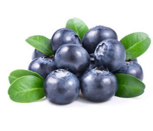Bilberry Extract