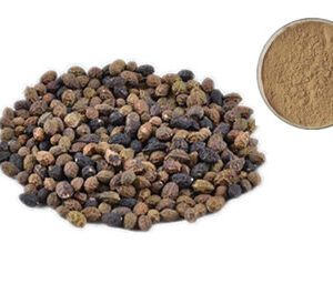 Brucea Javanica Extract