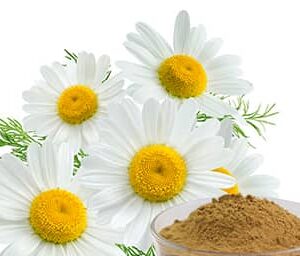 Chamomile Extract
