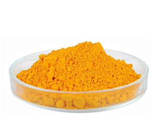 Coenzyme Q10 (CoQ10)