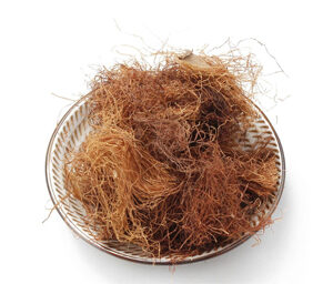 Corn Silk Extract
