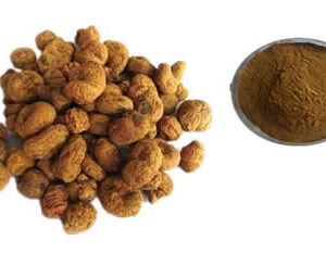 Corydalis Yanhusuo Extract