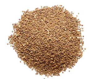 Cuscuta Seed Extract