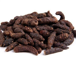 Cyperus Rotundus Extract