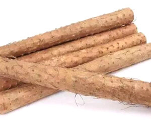 Dioscorea Opposita (Chinese Yam) Extract