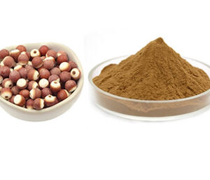 Euryale Ferox Seed Extract