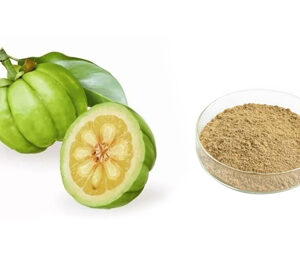 Garcinia Cambogia Extract
