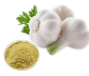 Garlic Extract