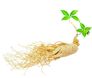 Ginseng Extract