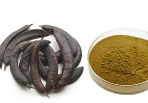 Gleditsia Sinensis Extract