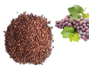 Grape Seed Extract