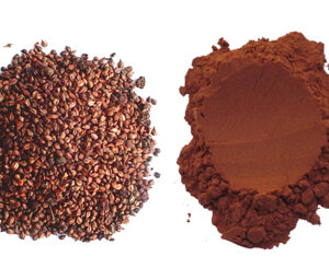 Grape Seed Proanthocyanidins Extract (OPC)