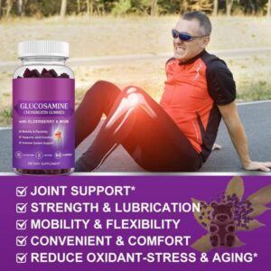 Wholesale Joint Health Support Blueberry Glucosamine Chondroitin Gummies 60 Count