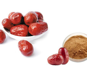 Jujube Extract