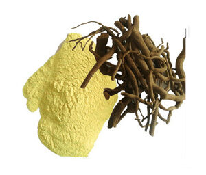 Kava Extract (Kavalactones)