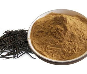 Kuding Tea Extract