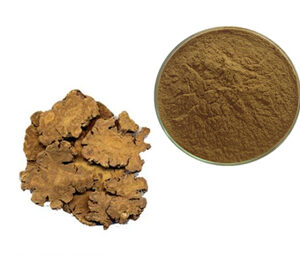 Ligusticum Chuanxiong Extract