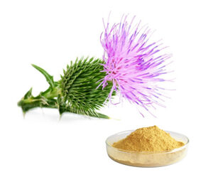 Milk Thistle Extract