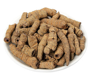 Morinda Officinalis Extract