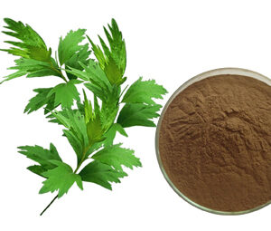 Mugwort (Artemisia Argyi) Leaf Extract