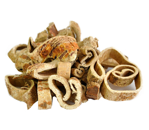 Mulberry Root Bark Extract