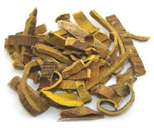 Phellodendron Extract