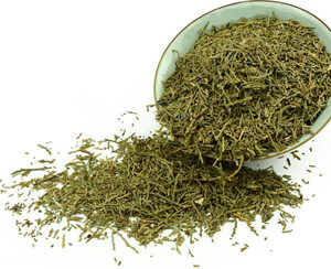 Platycladus Orientalis Leaf Extract