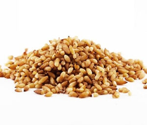 Platycladus Orientalis Seed Extract