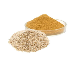 Psyllium Husk Powder