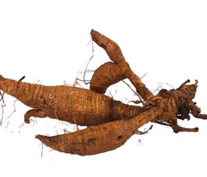 Pueraria Root Extract