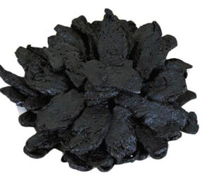 Rehmannia Glutinosa (Prepared) Extract