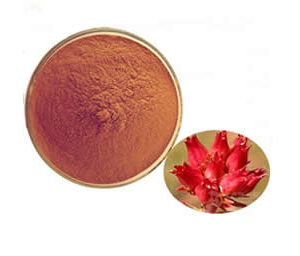 Rhodiola Rosea Extract