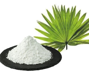 Saw Palmetto Extract