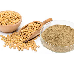 Soy Extract