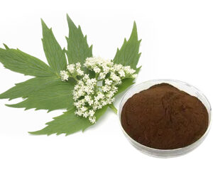 Valerian Root Extract